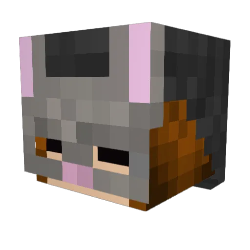 aulauly Minecraft avatar head, 3D render