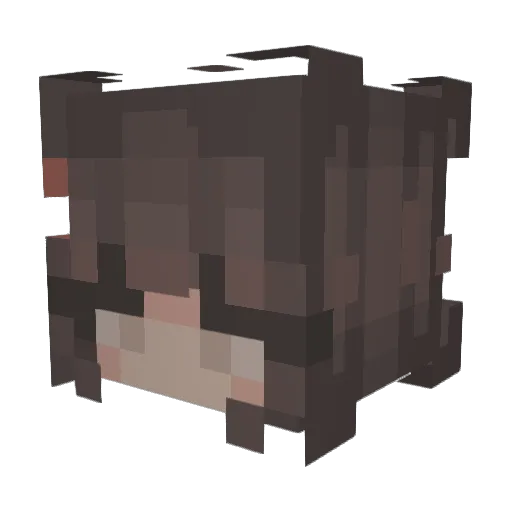 aulentra Minecraft avatar head, 3D render