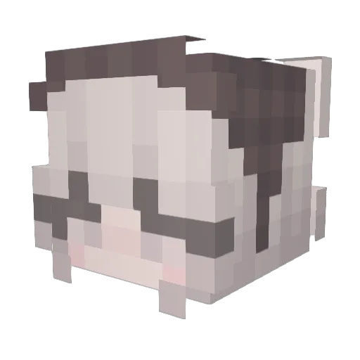 aulico Minecraft avatar head, 3D render