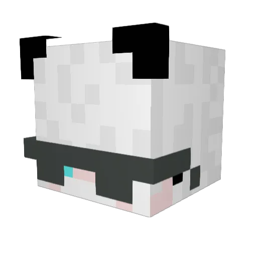 aumsuiez Minecraft avatar head, 3D render