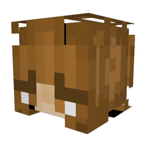 auntjuju80 Minecraft avatar head, 3D render