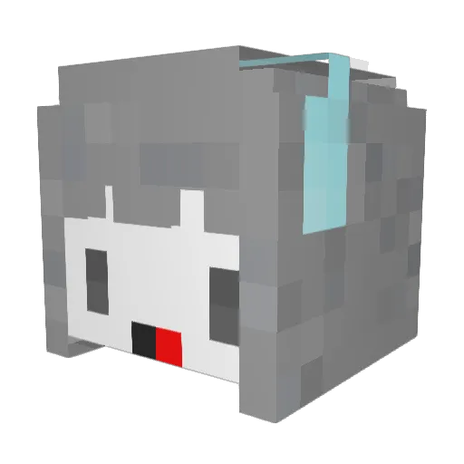 auqn888 Minecraft avatar head, 3D render