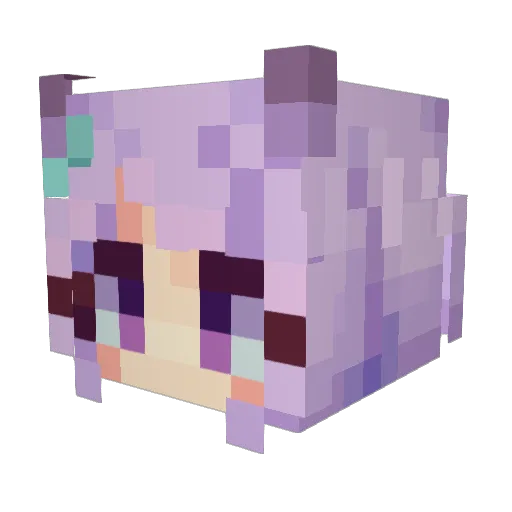 aurakingswagboss Minecraft avatar head, 3D render