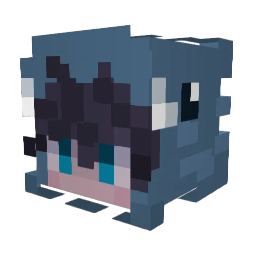 auramcof Minecraft avatar head, 3D render
