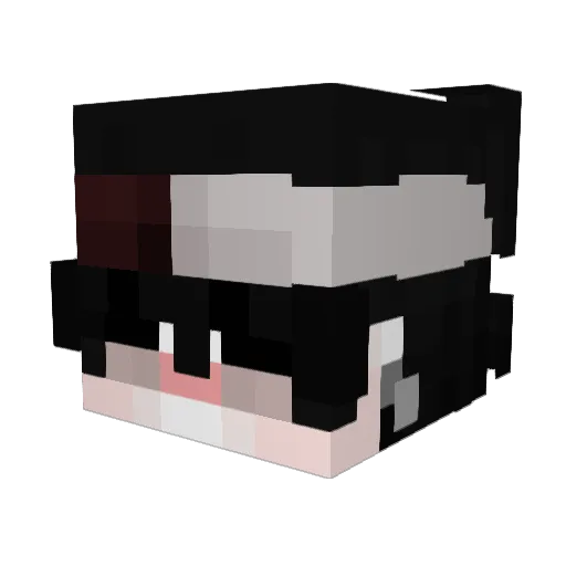 aureIastic Minecraft avatar head, 3D render