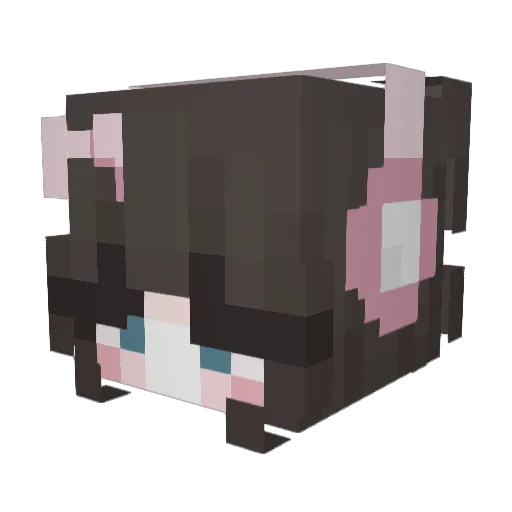 aurilique Minecraft avatar head, 3D render