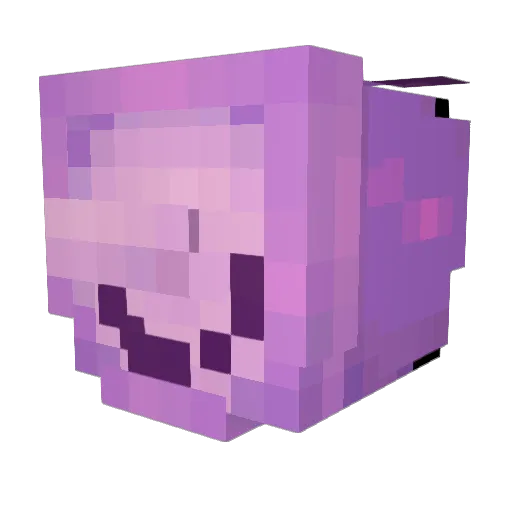 aurimaxx Minecraft avatar head, 3D render