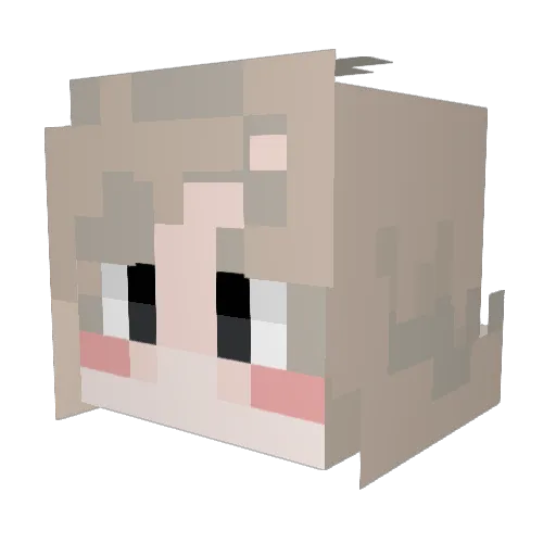 aurinkc Minecraft avatar head, 3D render