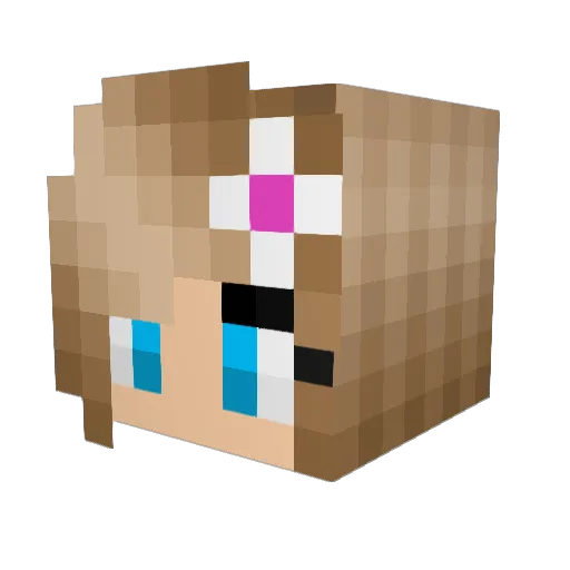 aurora2112 Minecraft avatar head, 3D render