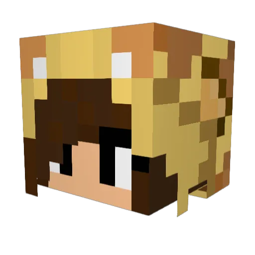 auroraax Minecraft avatar head, 3D render