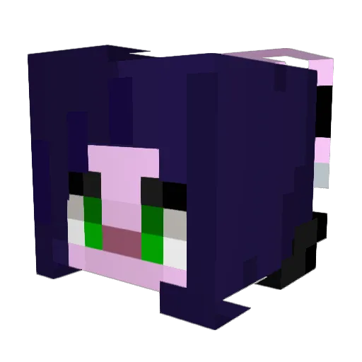 aurorabunnii Minecraft avatar head, 3D render