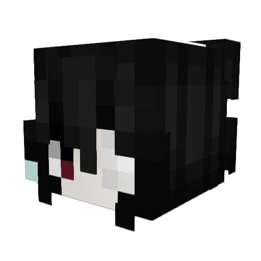 aurse Minecraft avatar head, 3D render