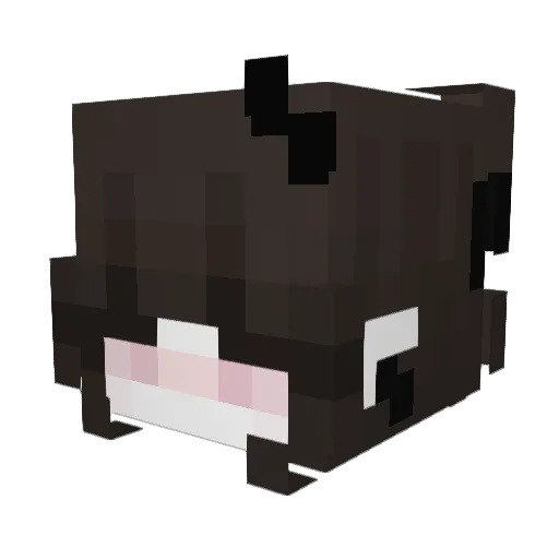 aurvra Minecraft avatar head, 3D render
