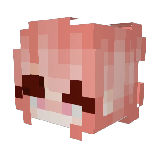 ausername19219 Minecraft avatar head, 3D render