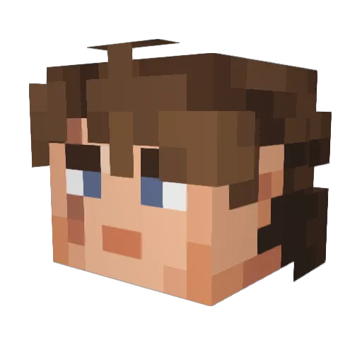 ausgefallenes Minecraft avatar head, 3D render