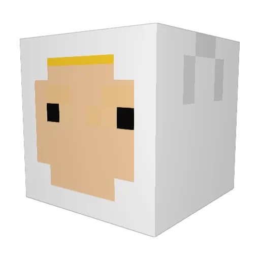 ausidux Minecraft avatar head, 3D render