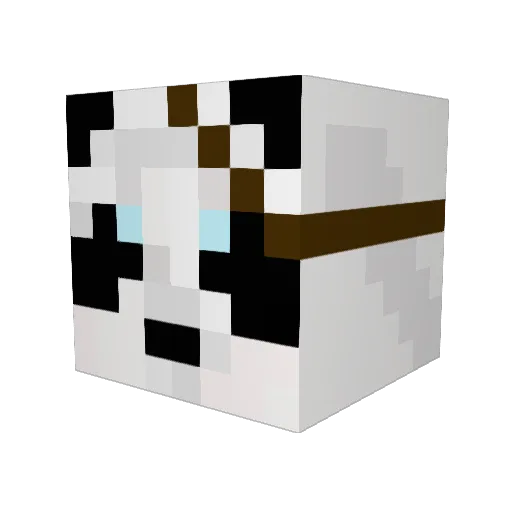 ausk_ Minecraft avatar head, 3D render