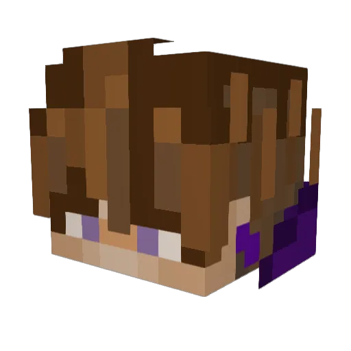 aussiebongs Minecraft avatar head, 3D render