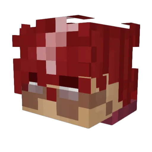 austaustaustin Minecraft avatar head, 3D render