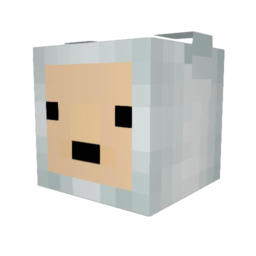 autismprism Minecraft avatar head, 3D render