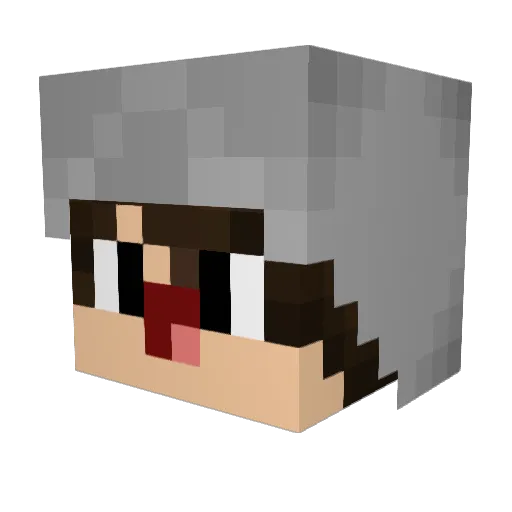 autistic_kid Minecraft avatar head, 3D render