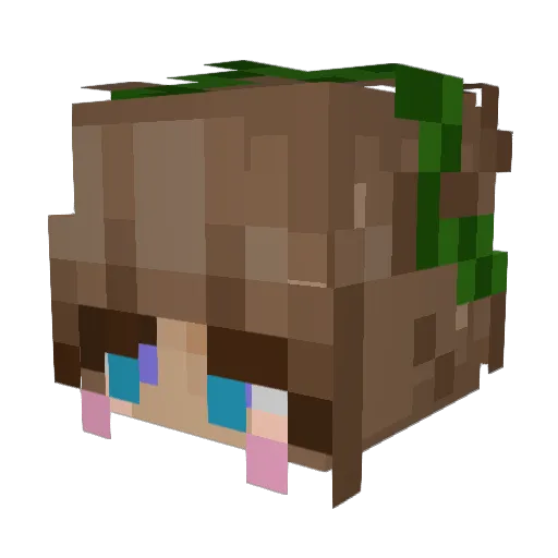 autss Minecraft avatar head, 3D render