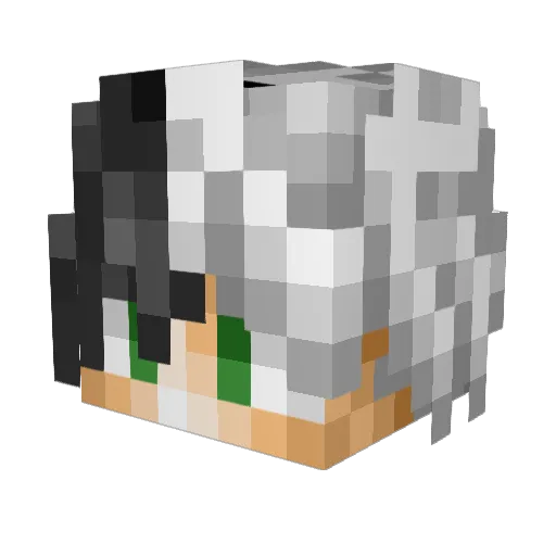 autumnleaf13 Minecraft avatar head, 3D render