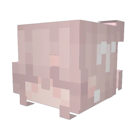 autumntum Minecraft avatar head, 3D render