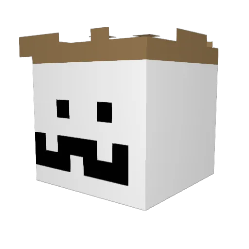 auvelle Minecraft avatar head, 3D render