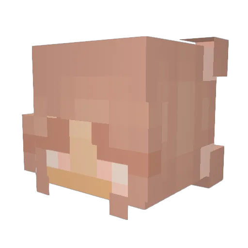 auvsies Minecraft avatar head, 3D render