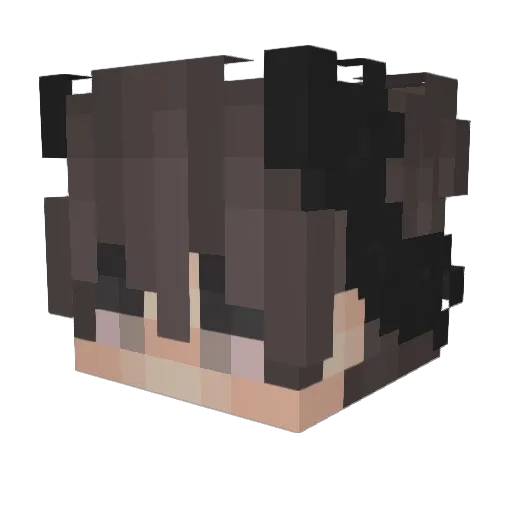 av_325 Minecraft avatar head, 3D render