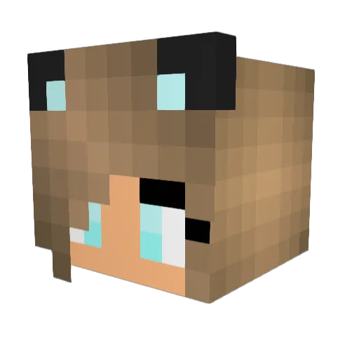 ava1100 Minecraft avatar head, 3D render