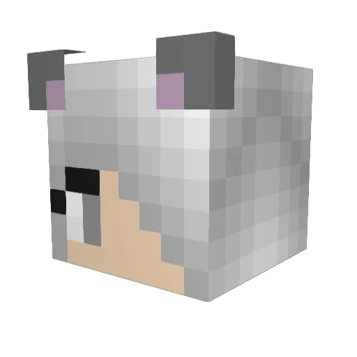 ava_cat Minecraft avatar head, 3D render