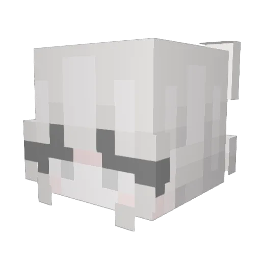Minecraft-Avatar von avac4d0: Kopf als 3D-Render
