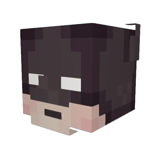 avacadaver Minecraft avatar head, 3D render