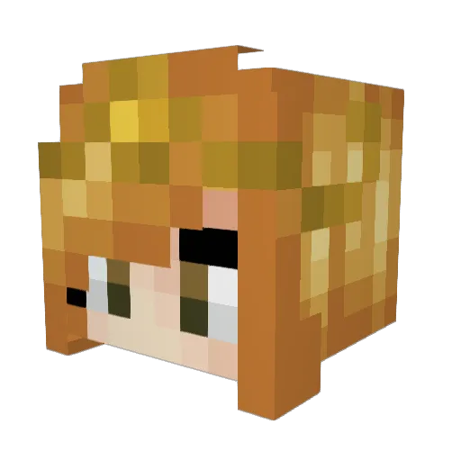 avacado_lover Minecraft avatar head, 3D render