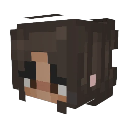 avacadooie Minecraft avatar head, 3D render