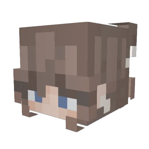 avadestroyerrox Minecraft avatar head, 3D render