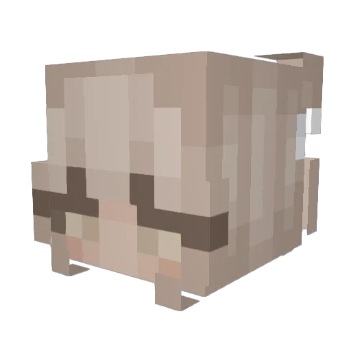 avadvies Minecraft avatar head, 3D render