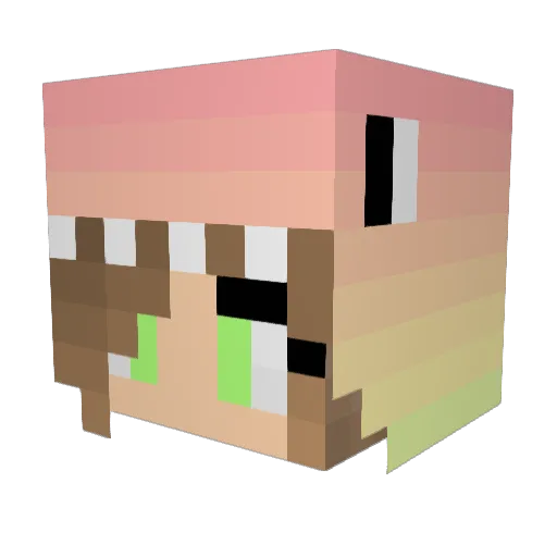 avalanch420 Minecraft avatar head, 3D render