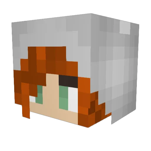 avalonpegaSUS Minecraft avatar head, 3D render