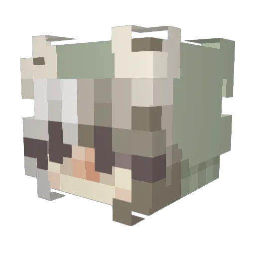 avaroos Minecraft avatar head, 3D render