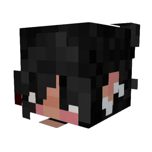 avassolidaring92 Minecraft avatar head, 3D render