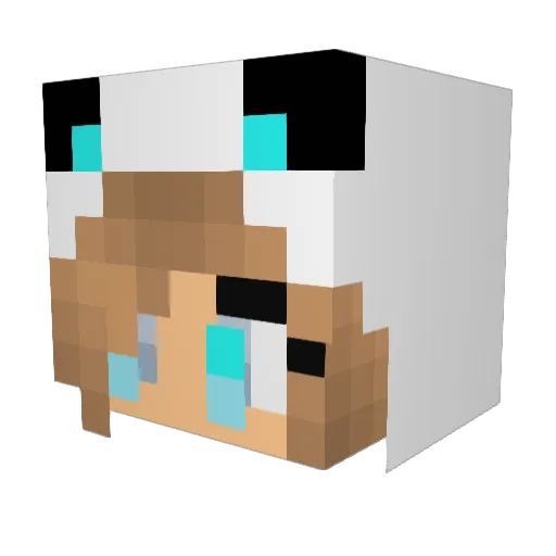 avatarte77 Minecraft avatar head, 3D render