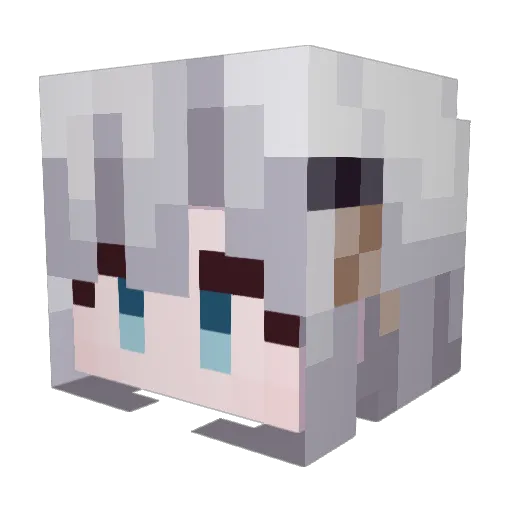 avcdsn Minecraft avatar head, 3D render