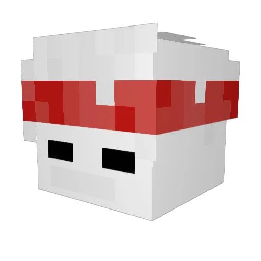 ave25 Minecraft avatar head, 3D render
