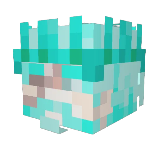 avengers193 Minecraft avatar head, 3D render