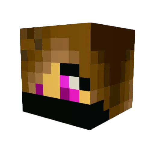 aveon1273 Minecraft avatar head, 3D render