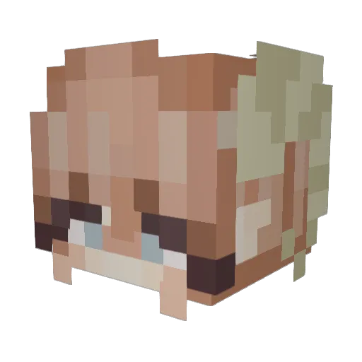 averihehe Minecraft avatar head, 3D render