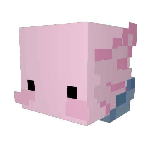 averyinnit Minecraft avatar head, 3D render